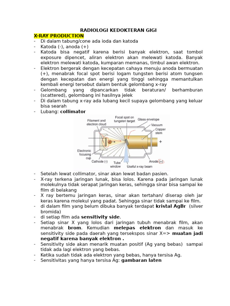Perbedaan Radiolusen dan Radioopak | PDF