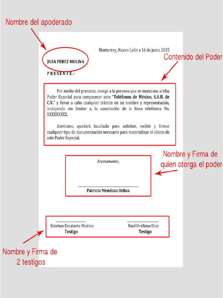 Portes Carta Poder | PDF