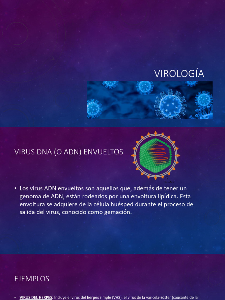 VIROLOGÍA | PDF | Virus | Virología