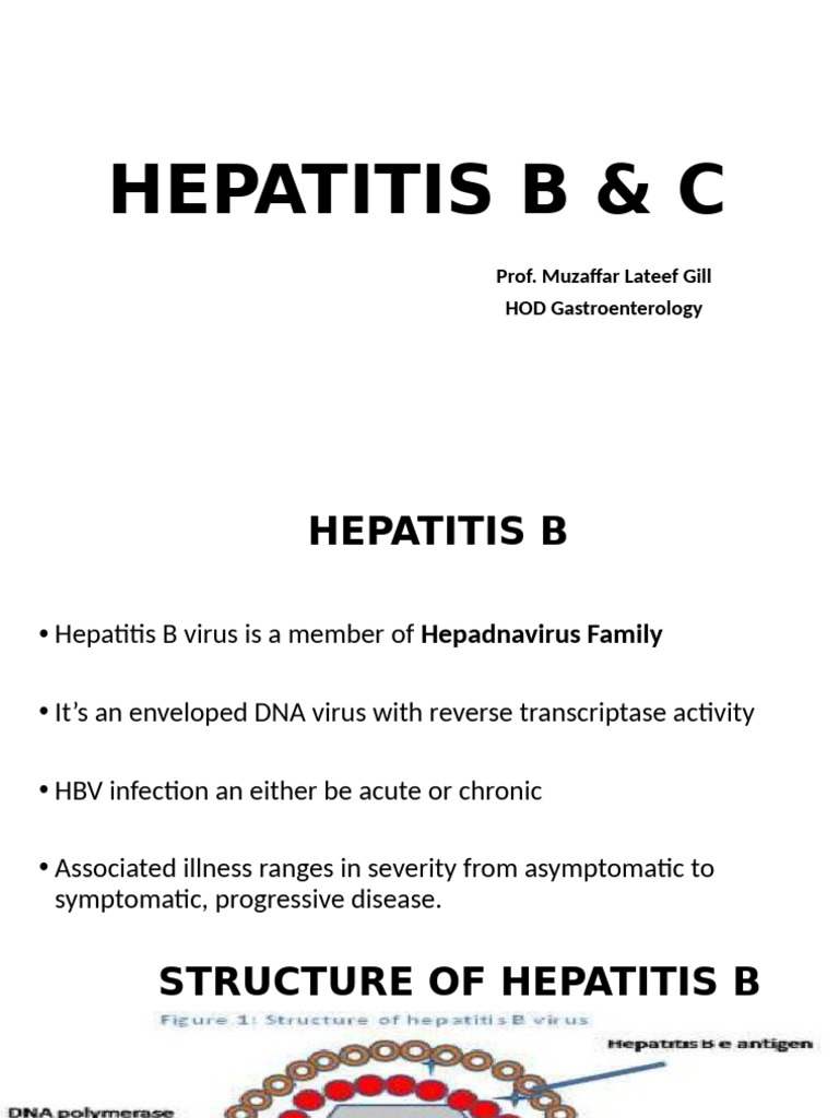 Comprehensive Guide to Hepatitis B & C | PDF | Hepatitis B | Hepatitis C