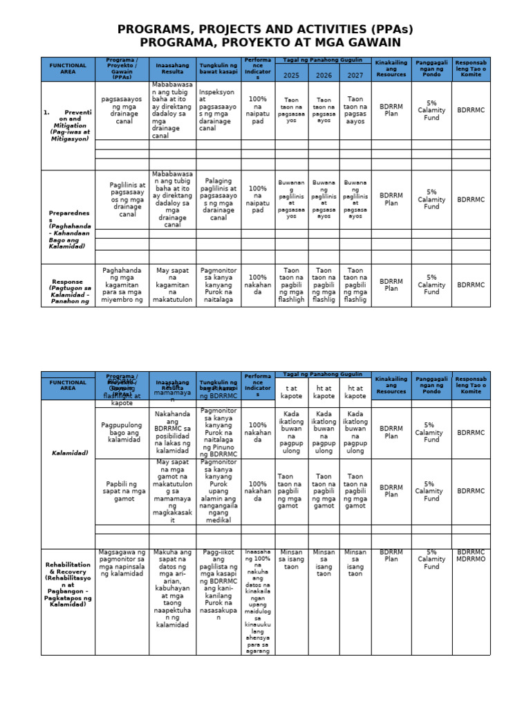 WORKSHOP 8 BLANK PPAs ProgramsProjects and Activities | PDF