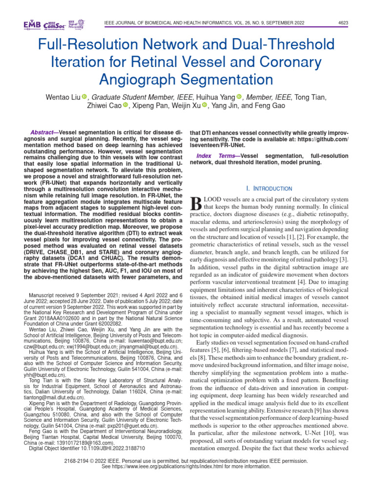 Advancements in Vessel Segmentation Techniques | PDF | Image ...