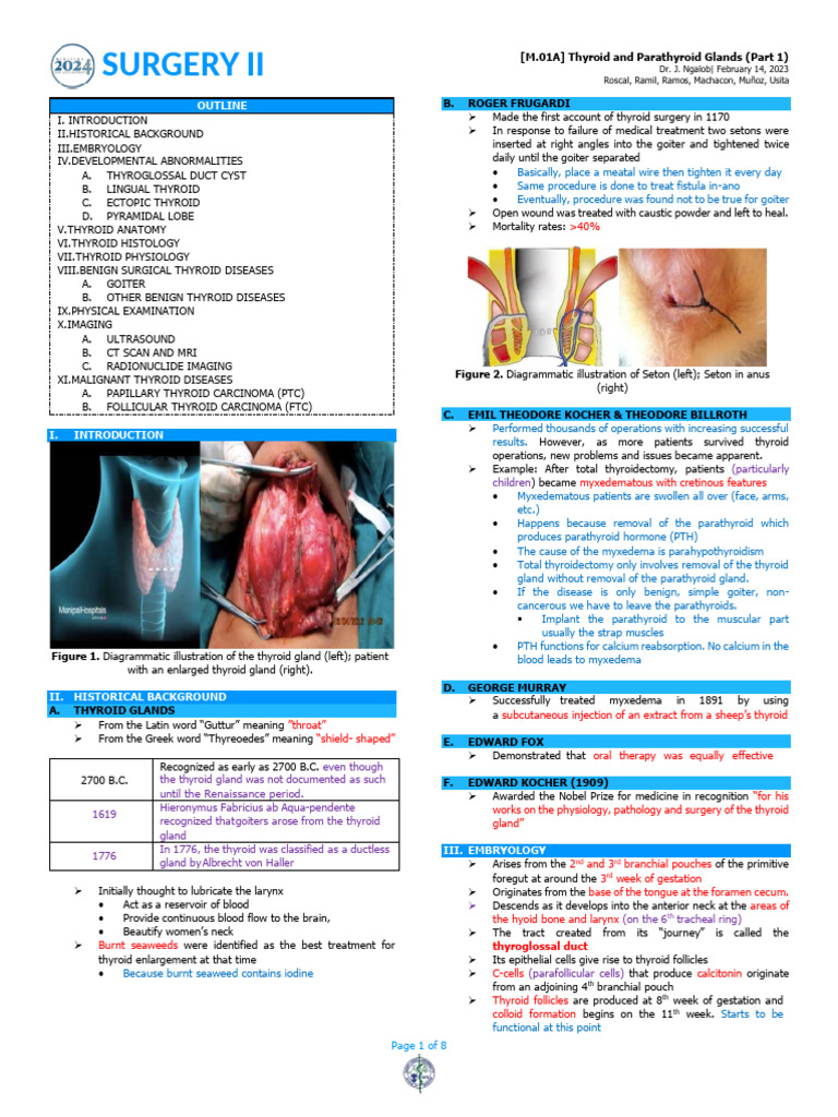 (SURG) M.01A Thyroid and Parathyroid Glands (Part 1) | PDF | Thyroid ...