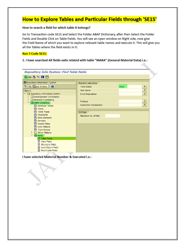 How To Explore Tables and Particular Fields Through 'SE15' | PDF