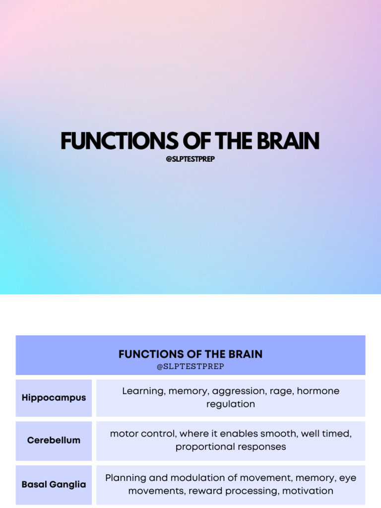 Key Functions of the Brain Explained | PDF | Cerebral Hemisphere | Brain