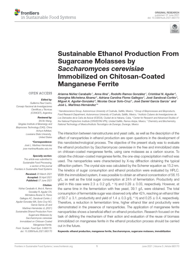 Sustainable Ethanol from Sugarcane Molasses | PDF | Nanoparticle ...