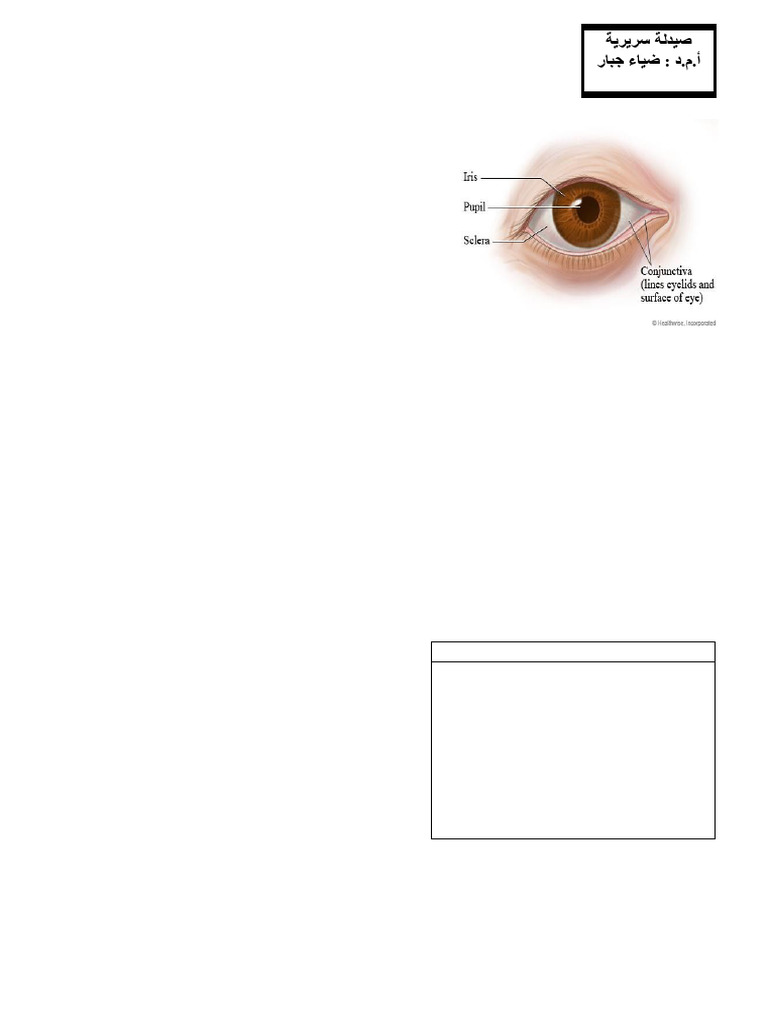 Minor Eye Disorders-2024 | PDF | Human Eye | Medical Specialties