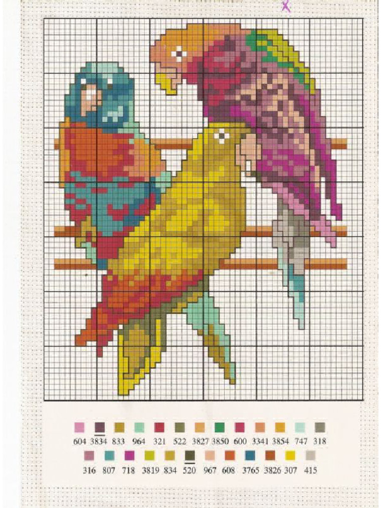 Conures Cross Stitch Pattern | PDF