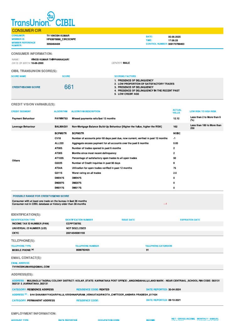 Co Applicant Cibil | PDF