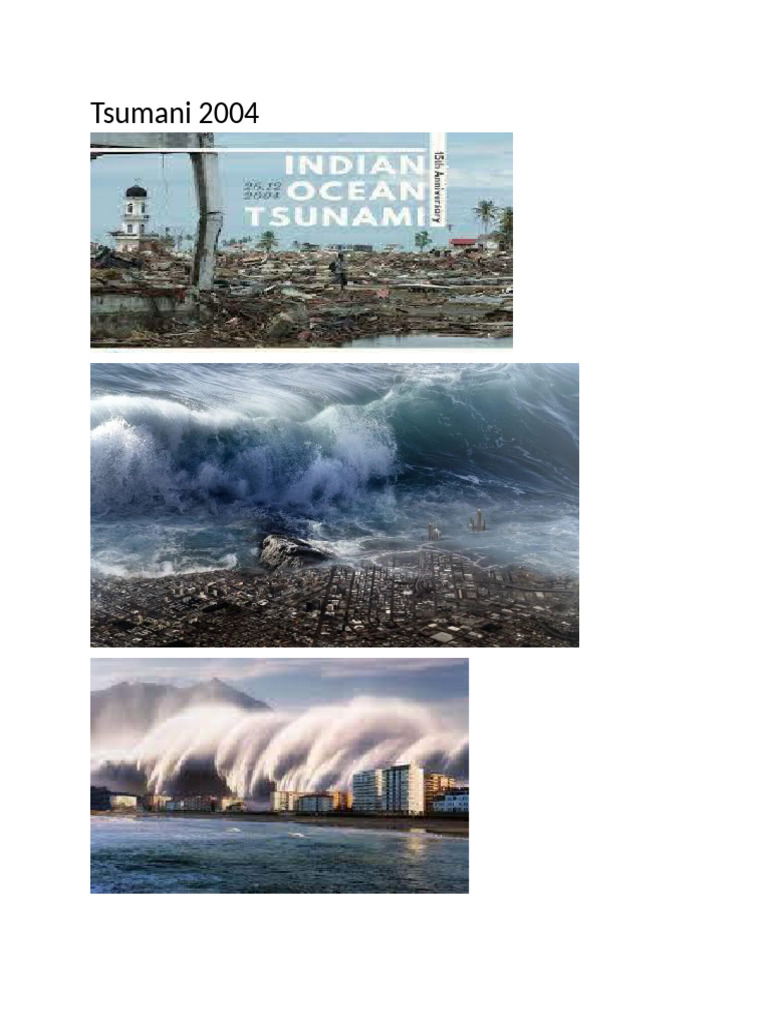 2004 Indian Ocean Tsunami Overview | PDF