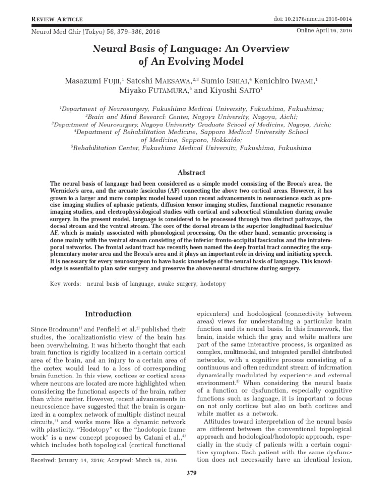 Evolving Neural Model of Language Processing | PDF | Cerebral Cortex ...