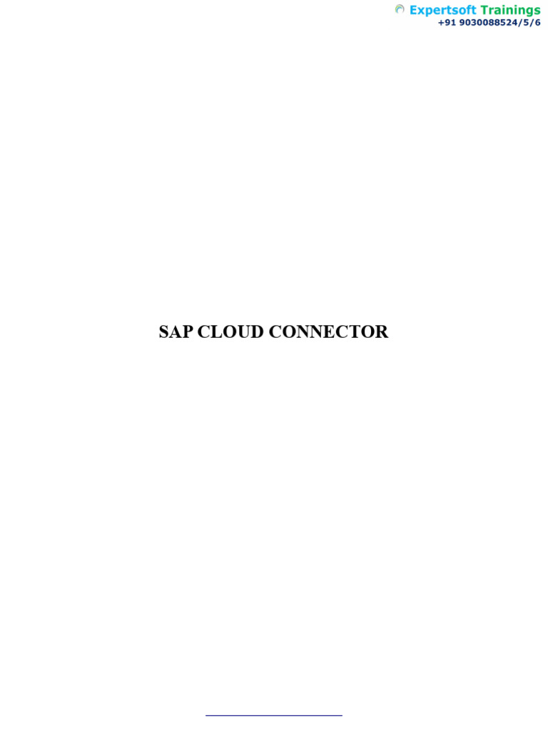 SAP Cloud Connector Setup Guide | PDF | Cloud Computing ...