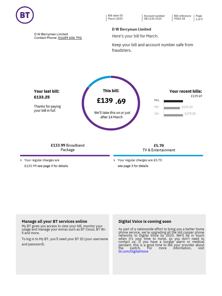 March 2025 BT Bill Overview | PDF