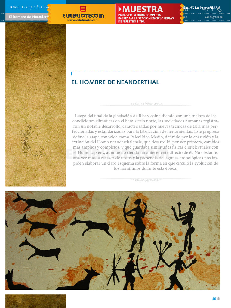 040 043 Historia de La Humanidad El Hombre de Neanderthal | PDF ...