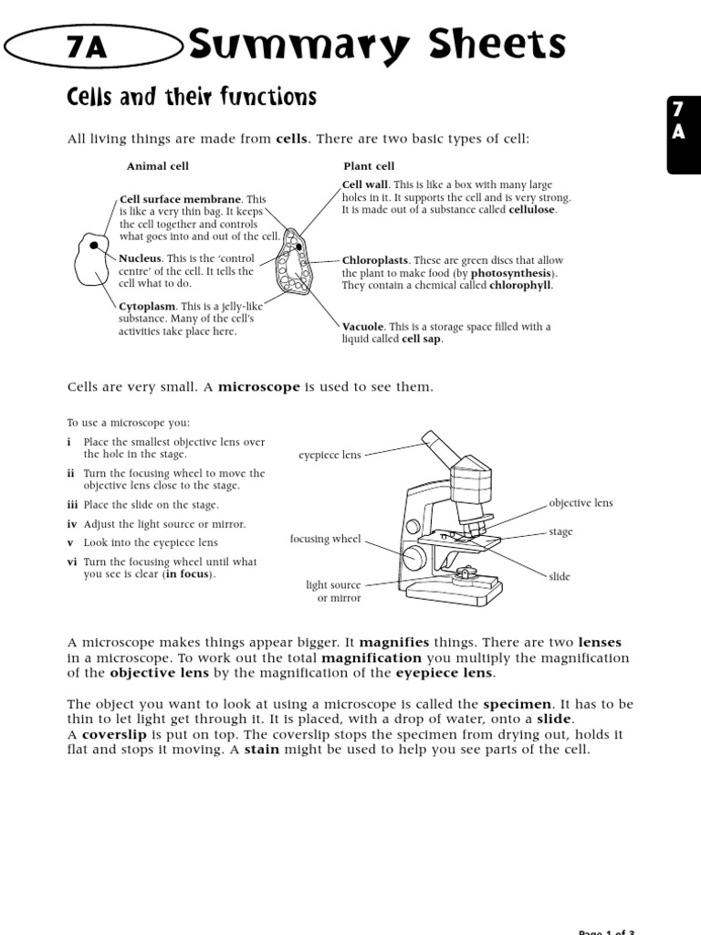Summary Sheets: Cells and Their Functions | PDF | Home & Garden | Wellness