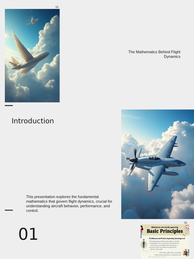 Mathematics of Flight Dynamics Explained | PDF | Flight | Force