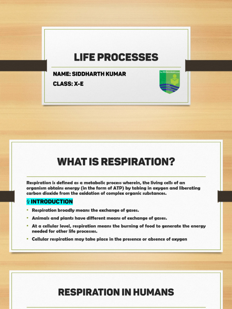 Bio HHW | PDF