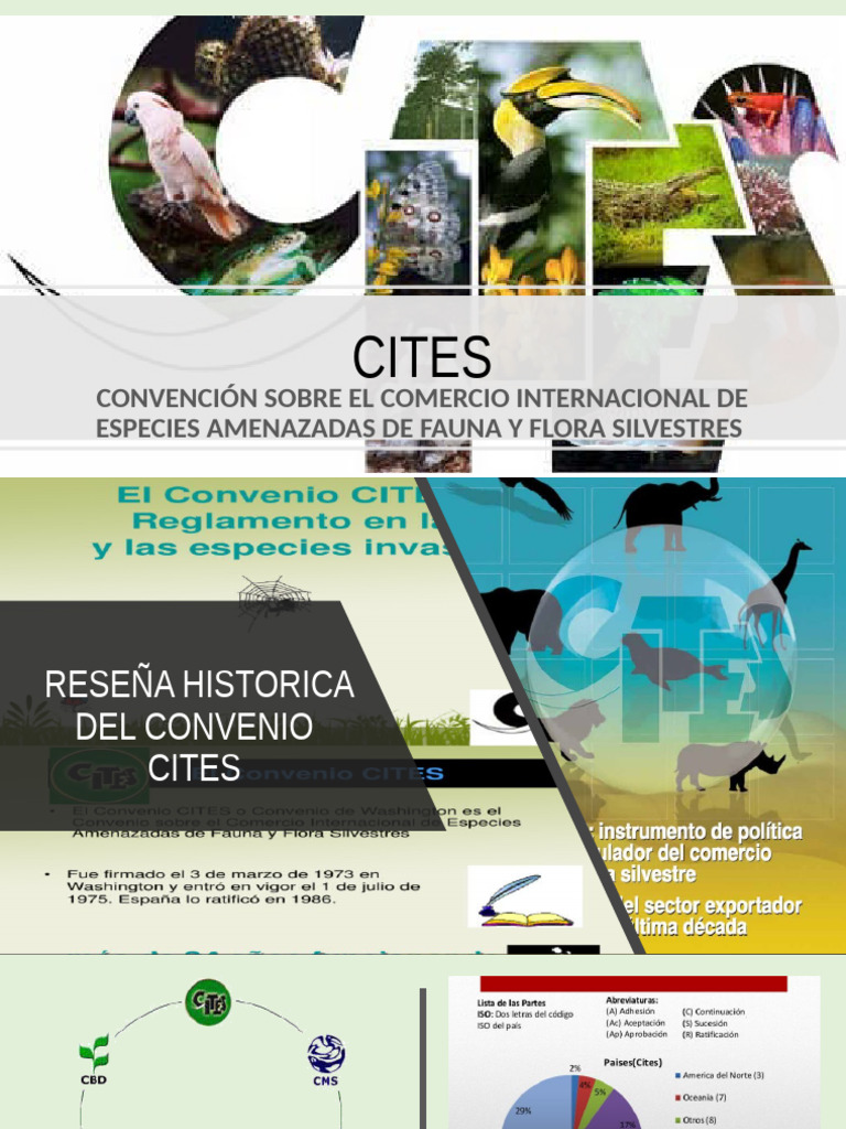 CITES: Protección de Especies Amenazadas | PDF