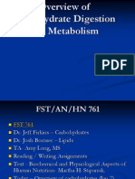 Carbohydrates Overview