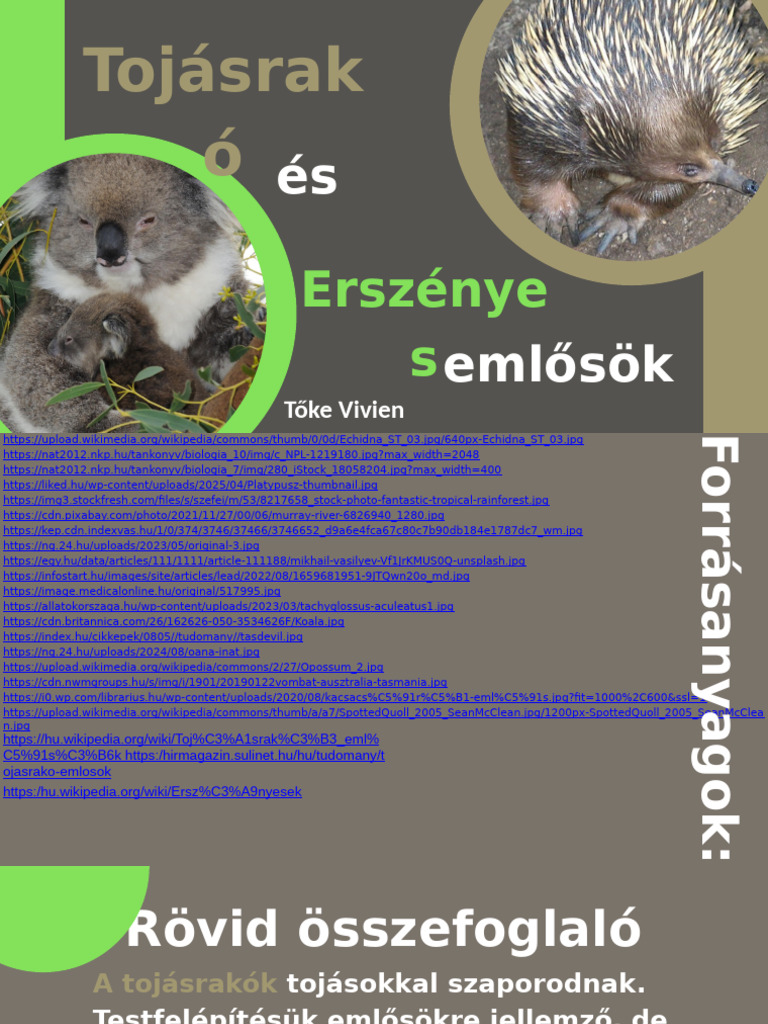Tojásrakó | PDF