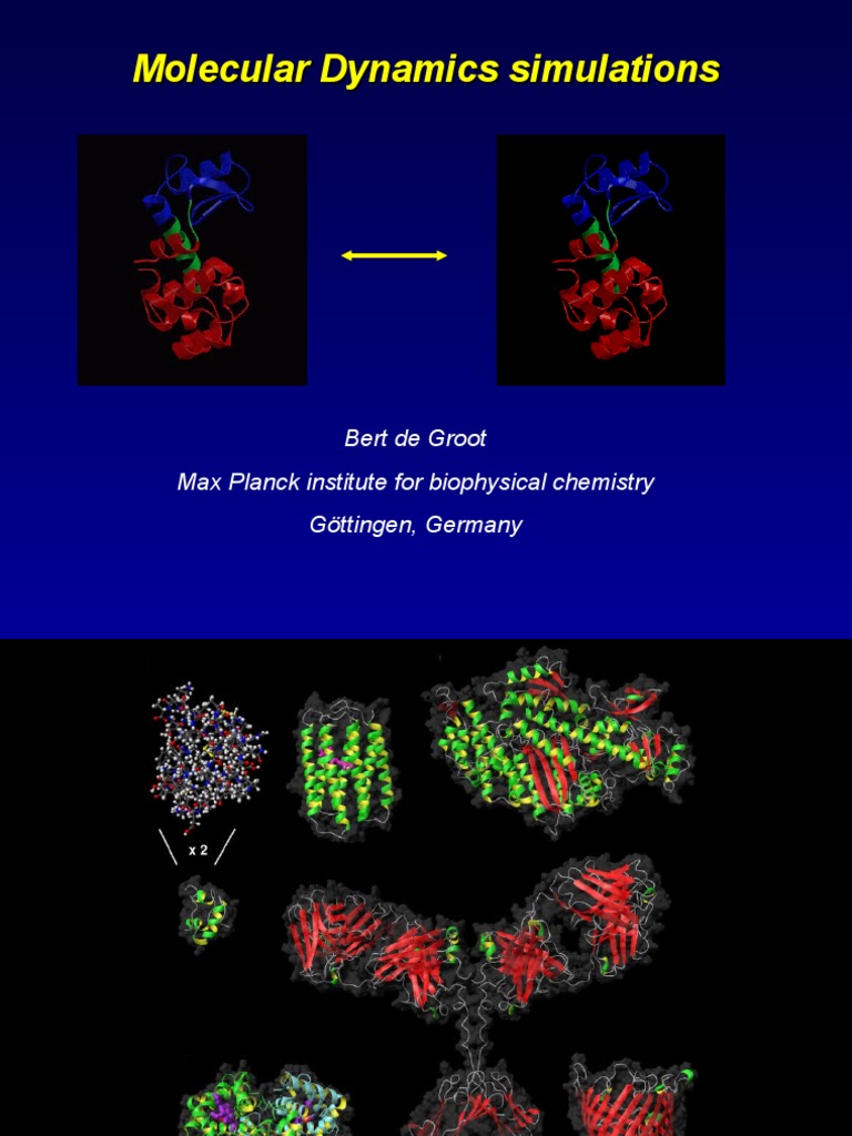 Molecular Dynamics Simulations Overview | PDF | Molecular Dynamics ...