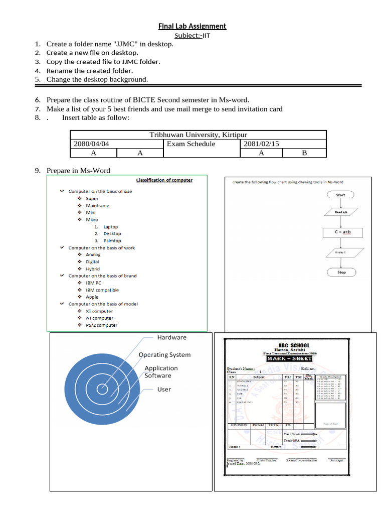 Final Lab Assignment for IIT Students | PDF | Computing