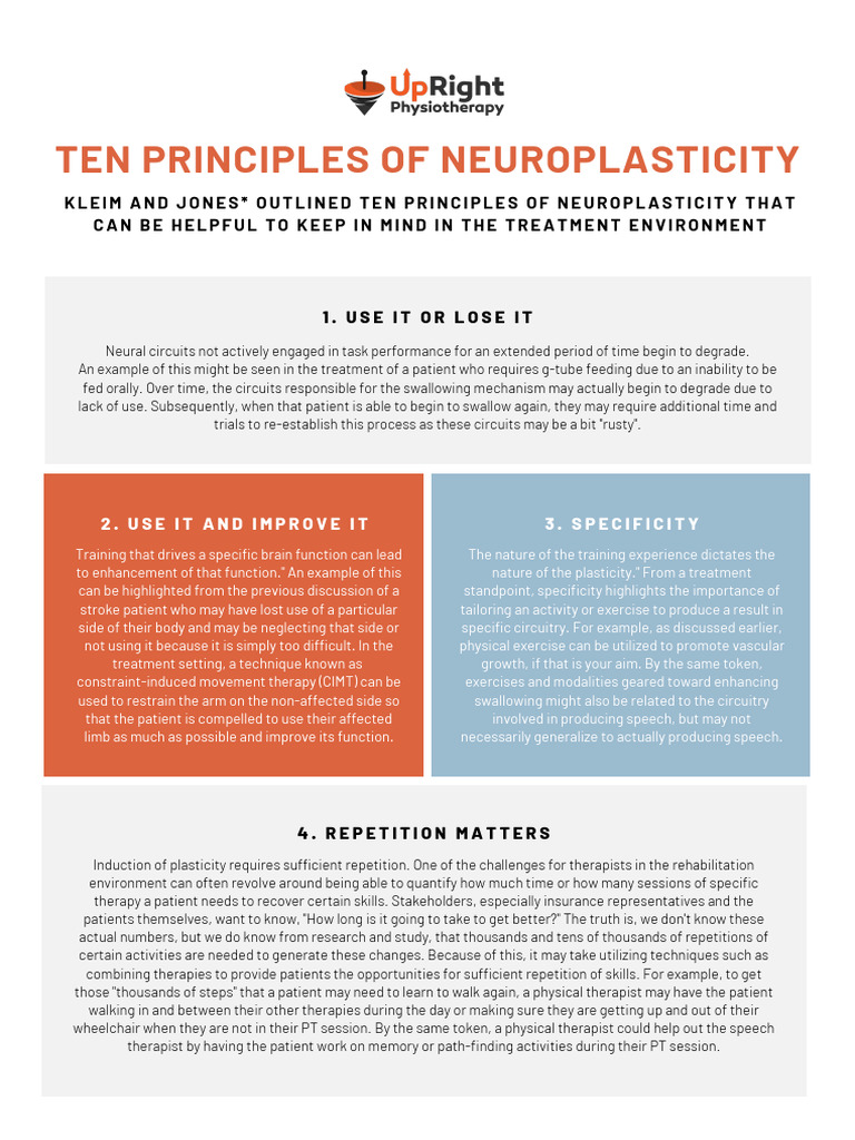 Ten Principles of Neuroplasticity | PDF | Neuroplasticity | Physical ...