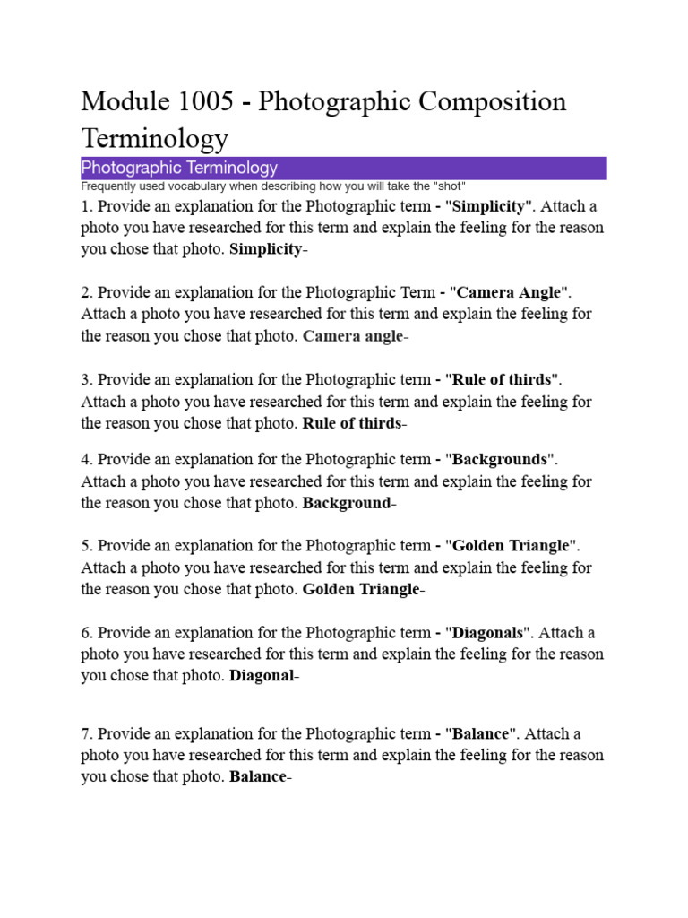 Photographic Composition Terms Explained | PDF