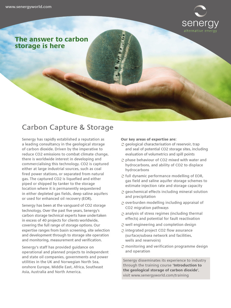 Carbon Capture & Storage Solutions | PDF | Carbon Capture And Storage ...