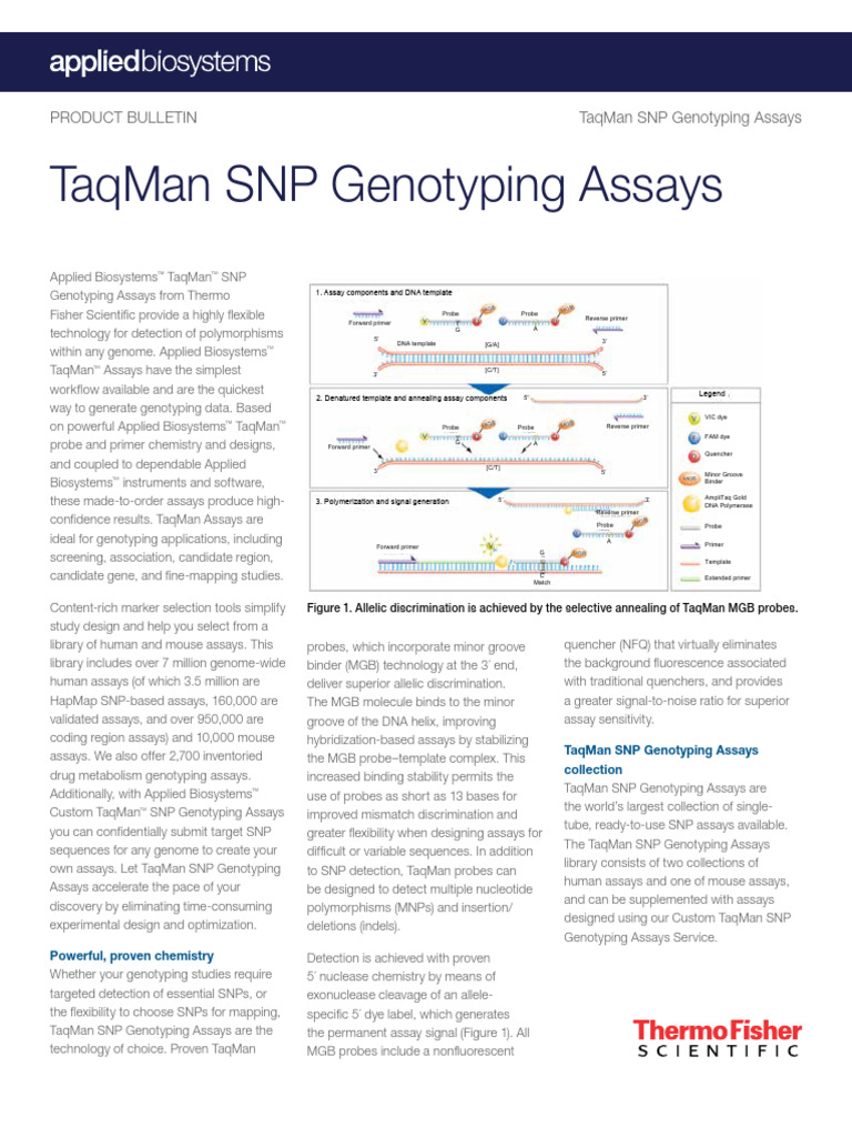 TaqMan SNP Genotyping Assays Overview | PDF | Single Nucleotide ...