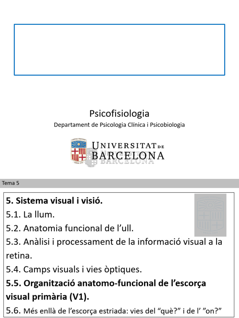 Sistema Visual 2 | PDF