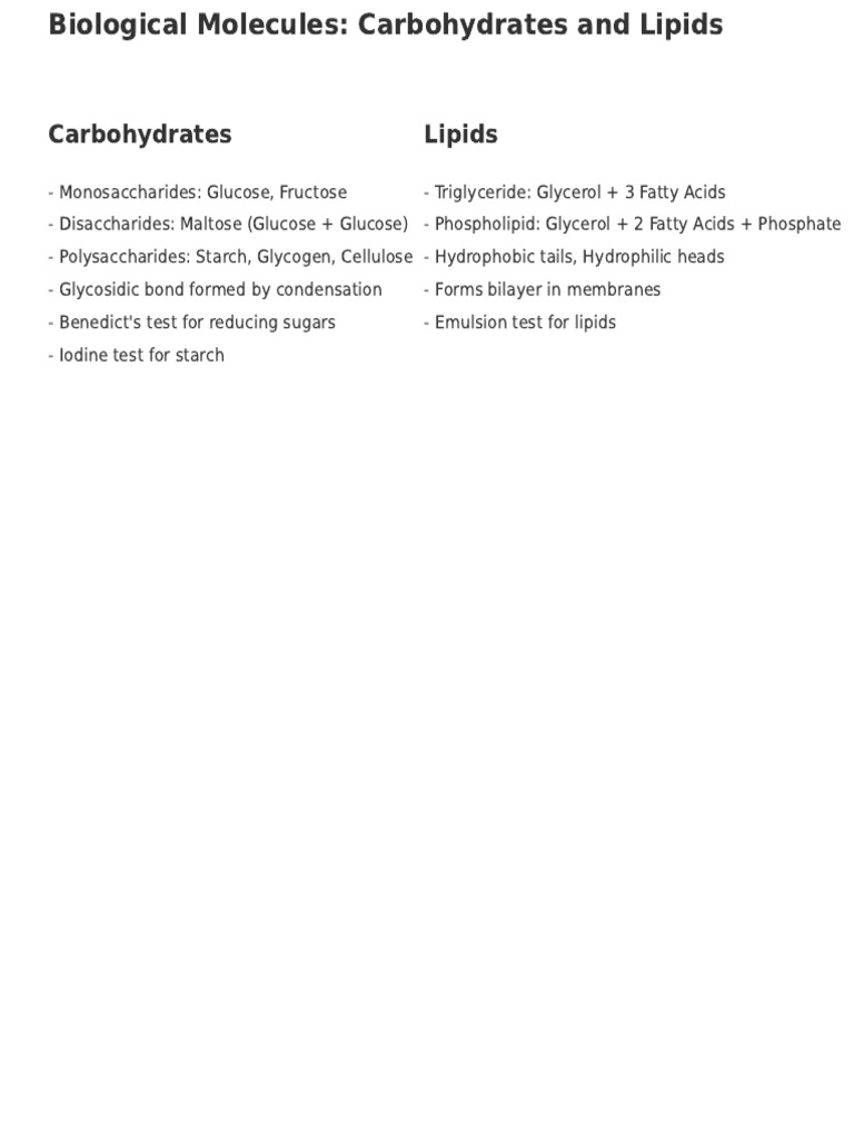Biological Molecules Diagram Summary | PDF
