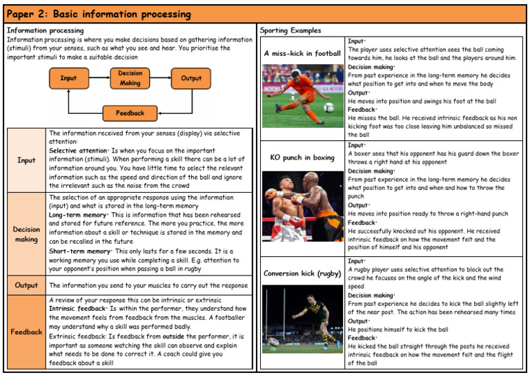 Information Processing in Sports Skills | PDF | Memory | Feedback