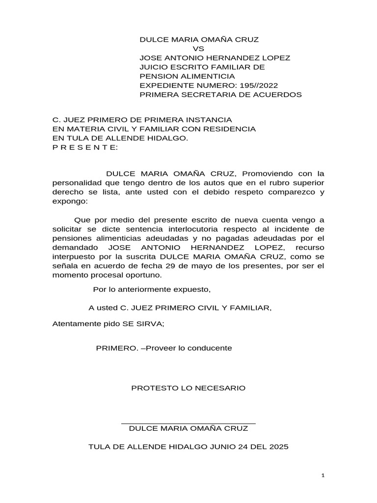 Solicitud de Sentencia Interlo Dulce Maria | PDF