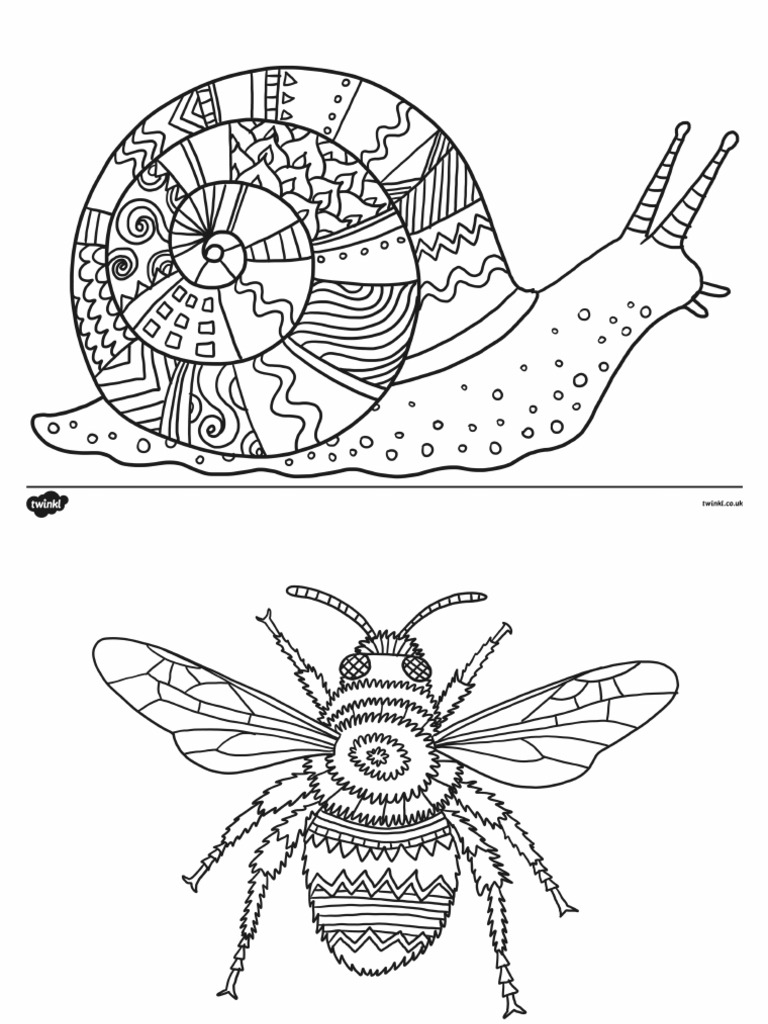 T T 26966 Minibeast Themed Mindfulness Colouring Sheets | PDF