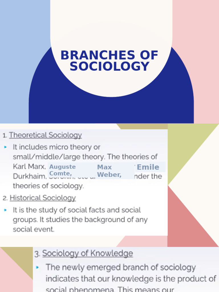Ucsp Lesson 2 Branches of Sociology | PDF