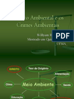 Direito Ambiental e Os Crimes Ambient a Is