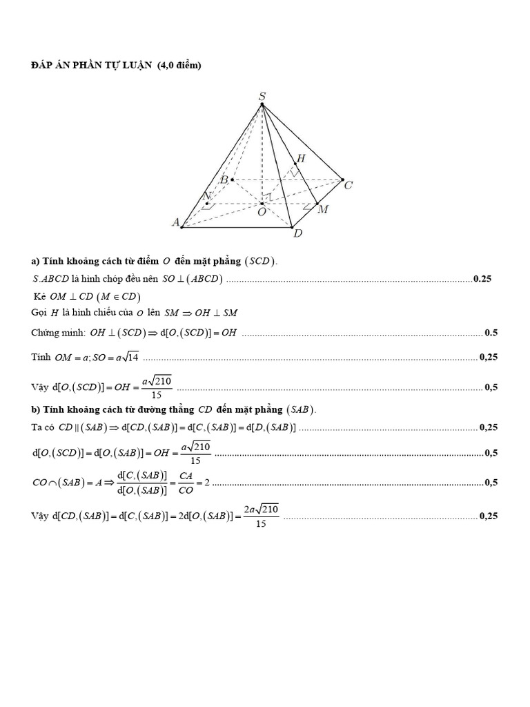 Dapan - Toan 11 | PDF