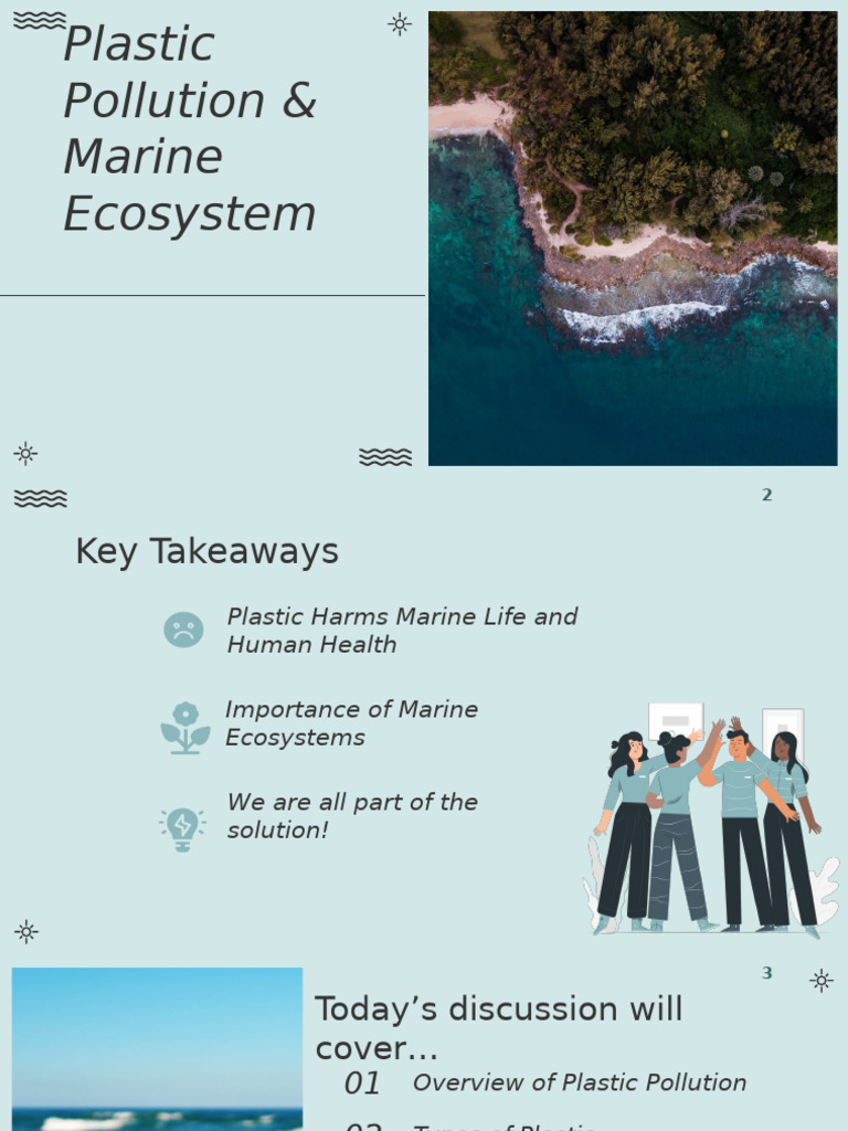Plastic Pollution's Impact on Marine Life | PDF | Plastic | Pollution