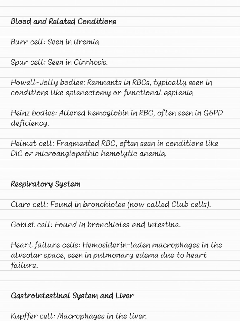 Cells and Bodies in Pathology | PDF