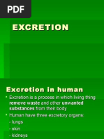 Excretion