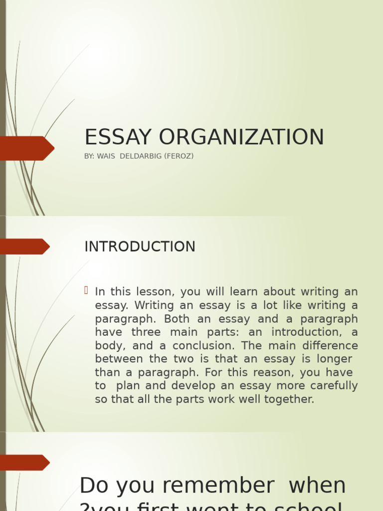 Essay Organization 1 | PDF | Essays