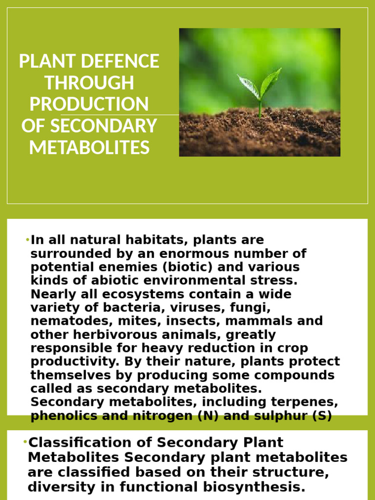 Plant Defense via Secondary Metabolites | PDF | Biology | Organisms