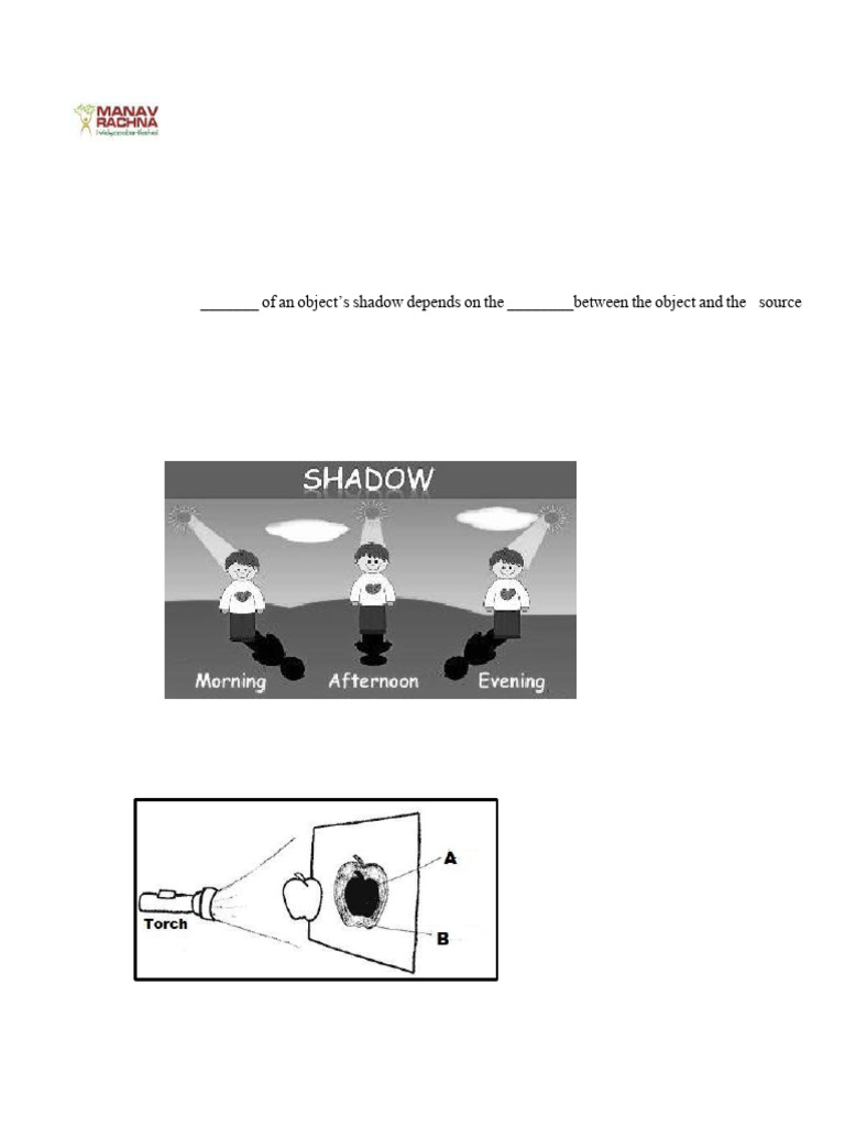 Grade VI Science: Light Phenomena Quiz | PDF | Light | Mirror