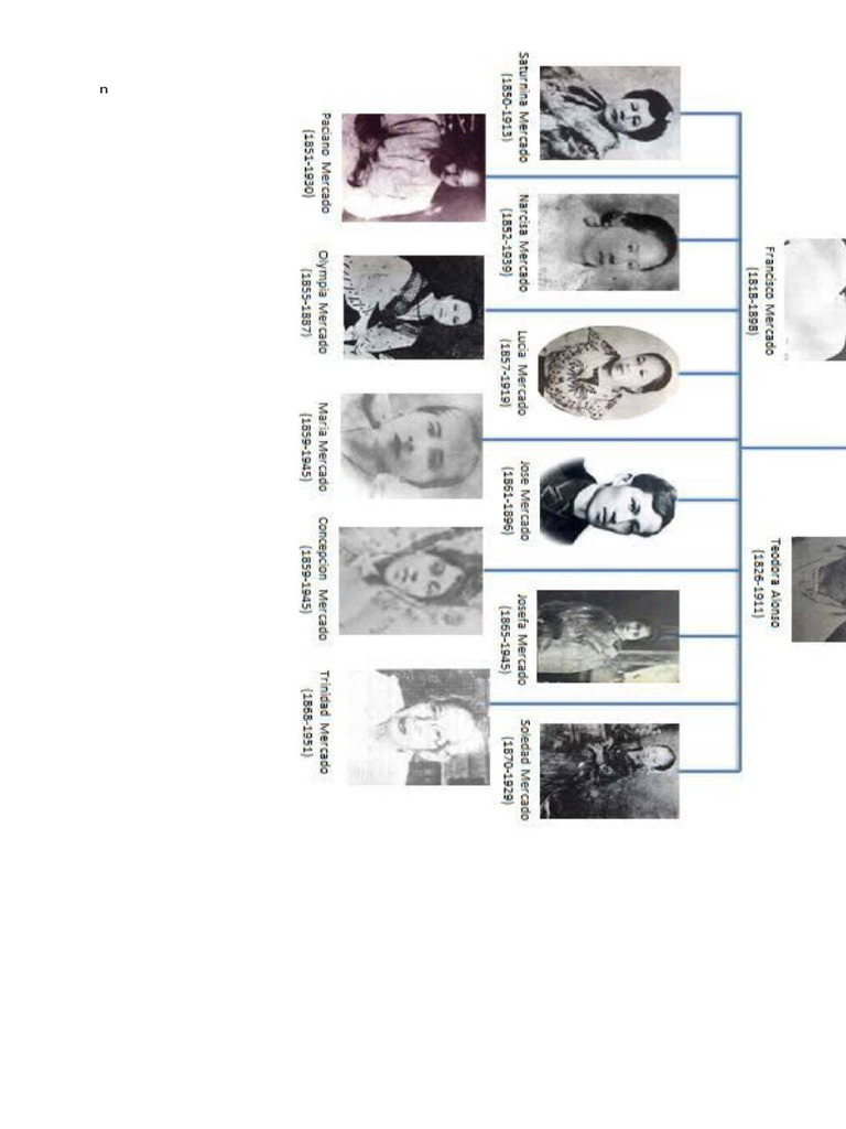 Rizal Family Tree | PDF