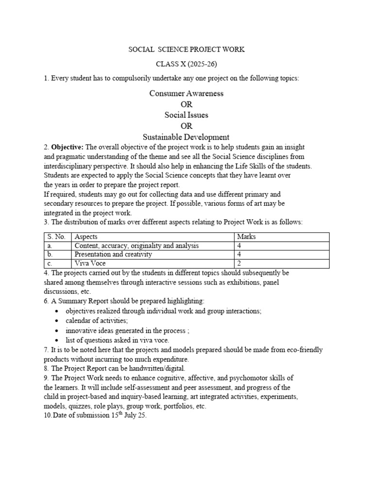 Class X Social Science Project Guide | PDF