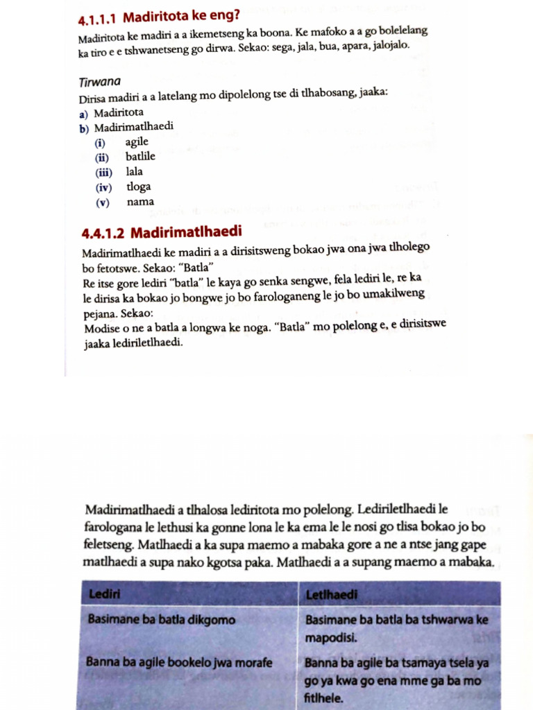 Document 31 | PDF