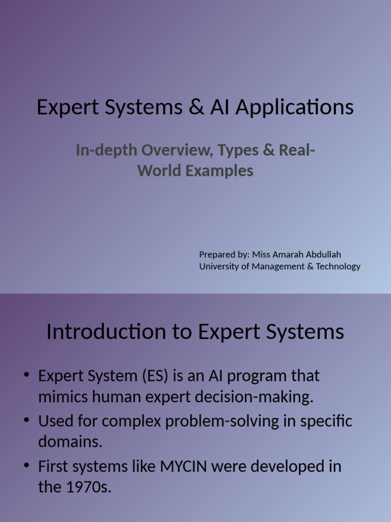 Expert Systems: Overview & Applications | PDF | Fuzzy Logic ...