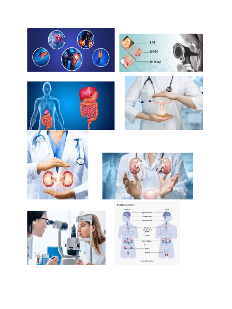 Doctors | PDF