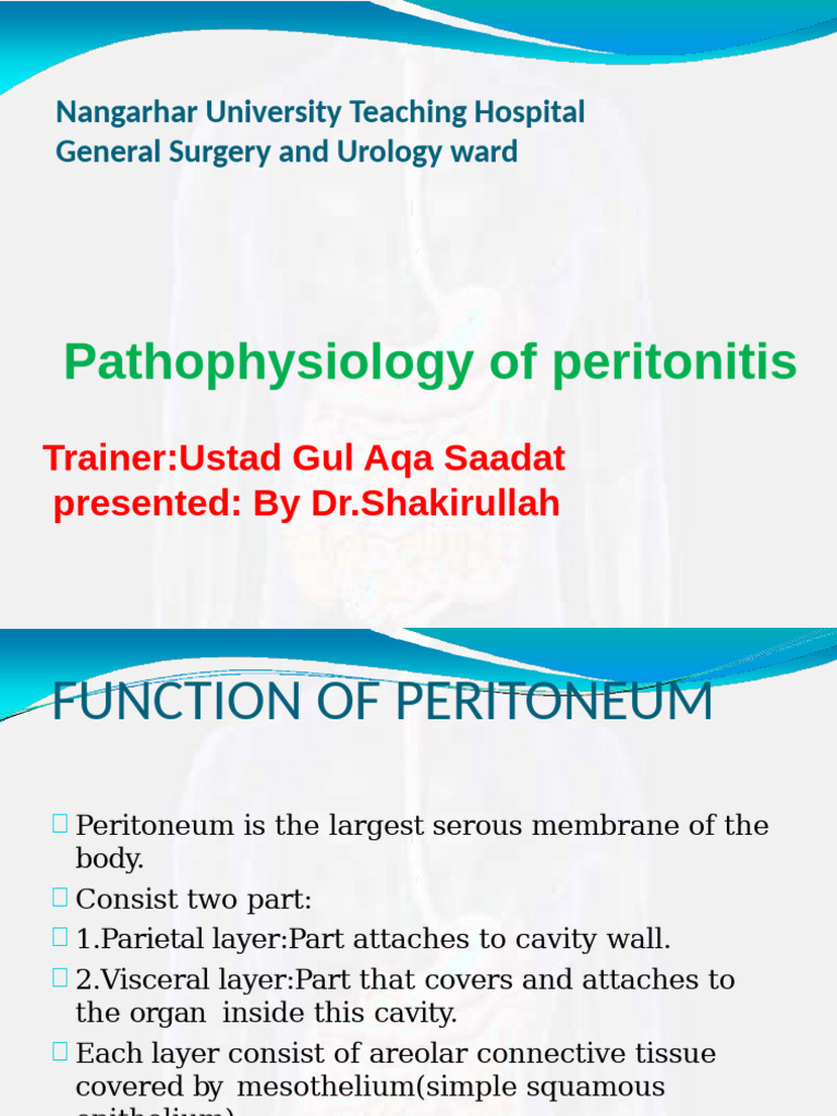 Peritonitis 121023045608 Phpapp01 | PDF | Peritoneum | Abdomen